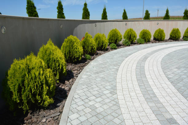 Best Local Driveway Pavers  in Mcgraw, NY